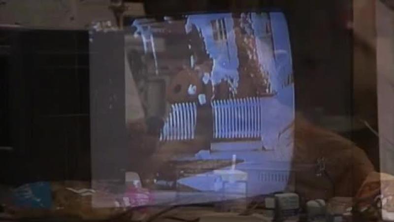 Кадры из сериала Альф (1986)
