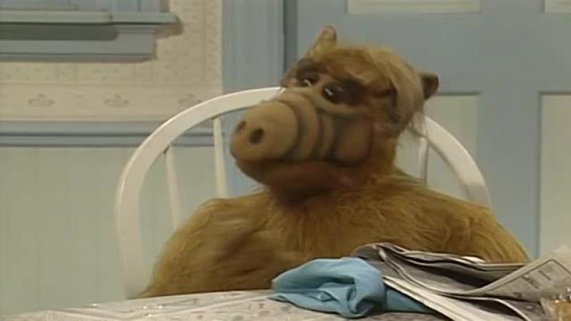 Кадры из сериала Альф (1986)