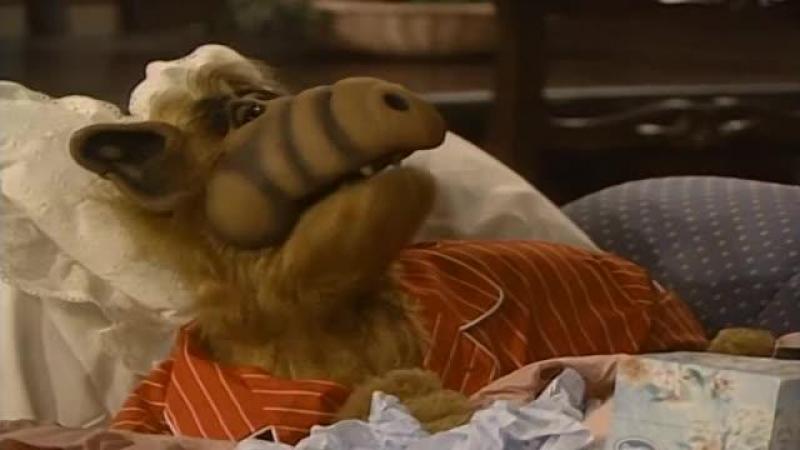 Кадры из сериала Альф (1986)